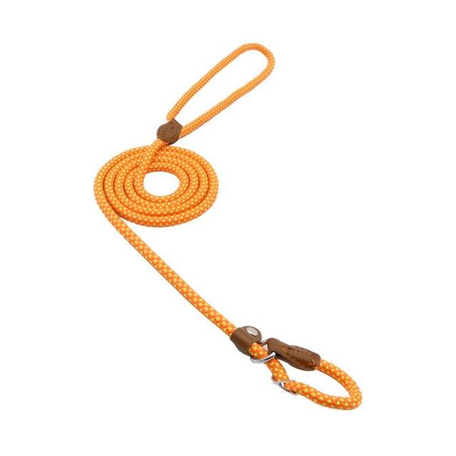 Nylon Puppy Starter Set — Collar, Leash & Harness for New Pups
