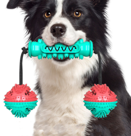 Dog Dental Chew Toy & Toothbrush — Cleans Teeth While They Play