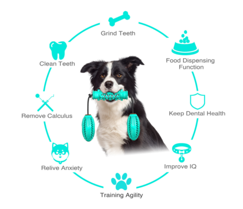Dog Dental Chew Toy & Toothbrush — Cleans Teeth While They Play