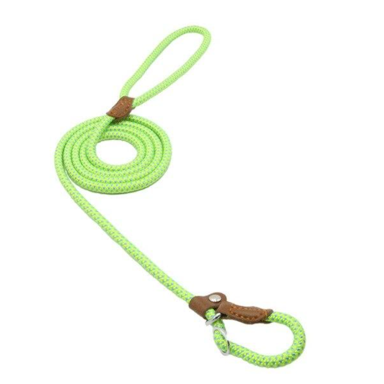 Nylon Puppy Starter Set — Collar, Leash & Harness for New Pups