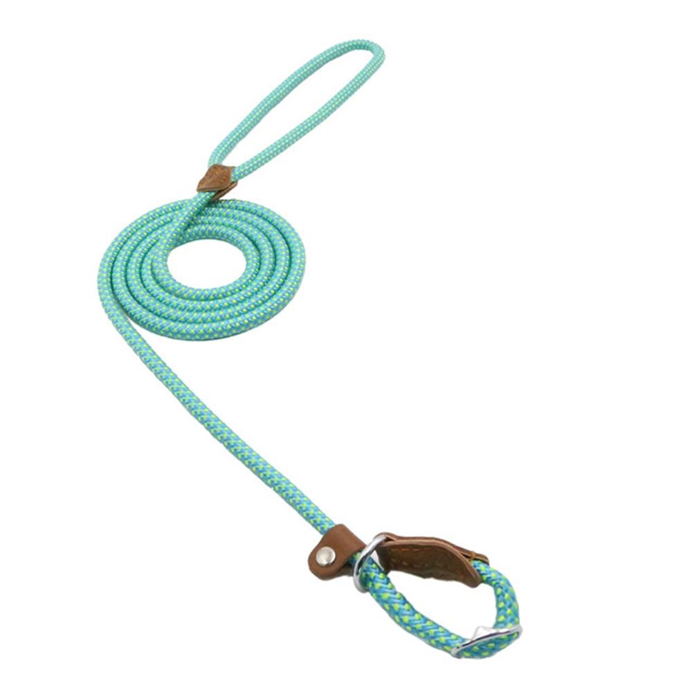 Nylon Puppy Starter Set — Collar, Leash & Harness for New Pups