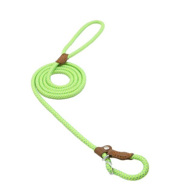Nylon Puppy Starter Set — Collar, Leash & Harness for New Pups