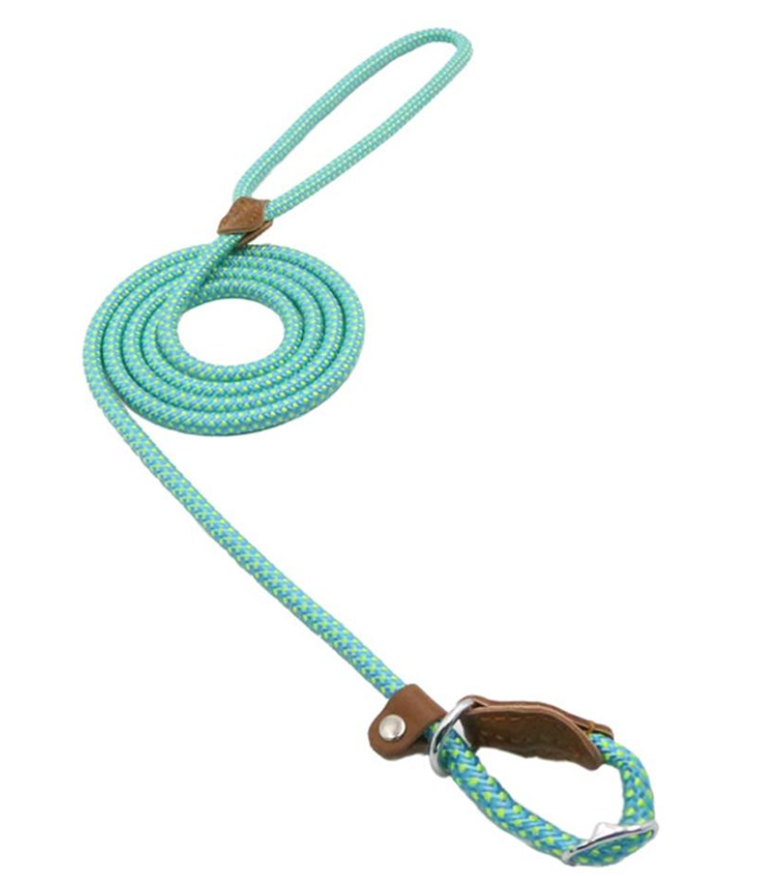 Nylon Puppy Starter Set — Collar, Leash & Harness for New Pups