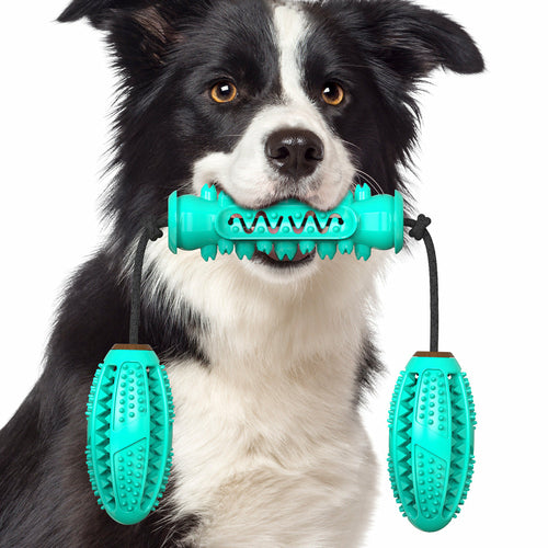 Dog Dental Chew Toy & Toothbrush — Cleans Teeth While They Play