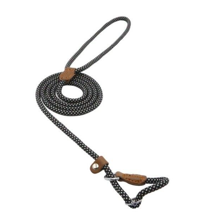Nylon Puppy Starter Set — Collar, Leash & Harness for New Pups