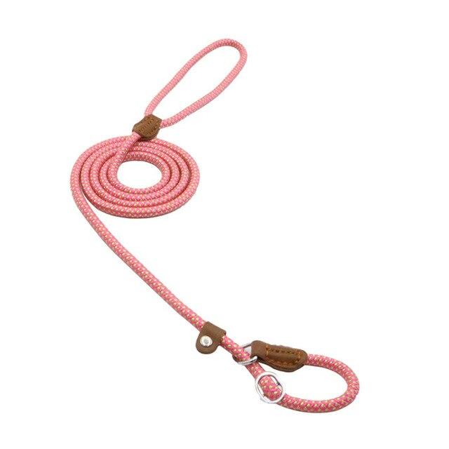Nylon Puppy Starter Set — Collar, Leash & Harness for New Pups