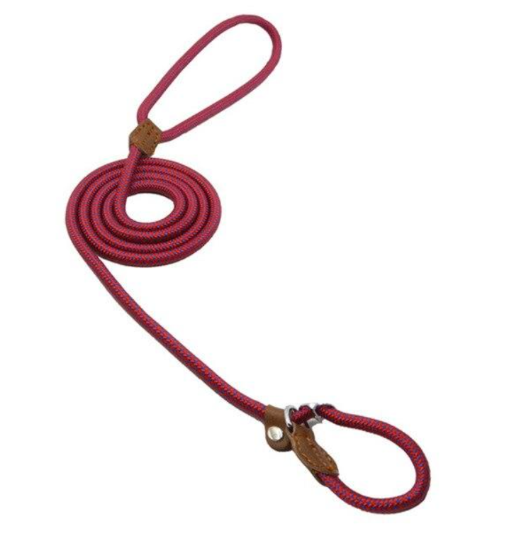 Nylon Puppy Starter Set — Collar, Leash & Harness for New Pups