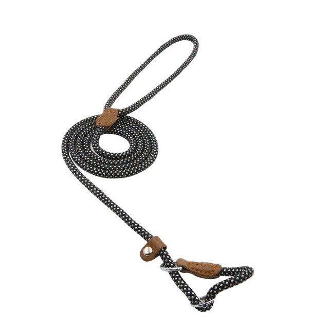 Nylon Puppy Starter Set — Collar, Leash & Harness for New Pups
