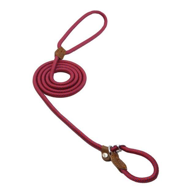 Nylon Puppy Starter Set — Collar, Leash & Harness for New Pups