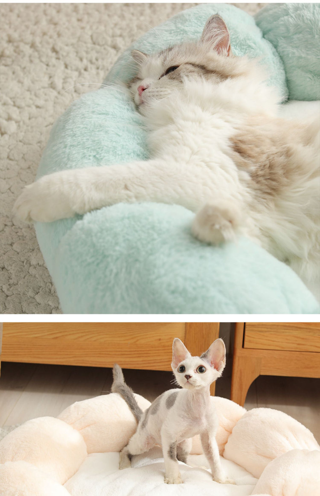 Washable Cat & Dog Bed — Cozy, Durable & Easy to Clean