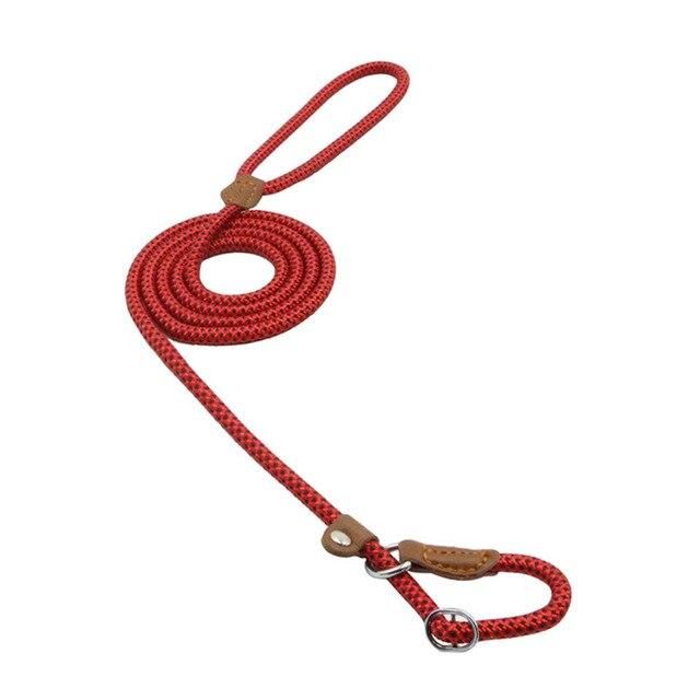 Nylon Puppy Starter Set — Collar, Leash & Harness for New Pups