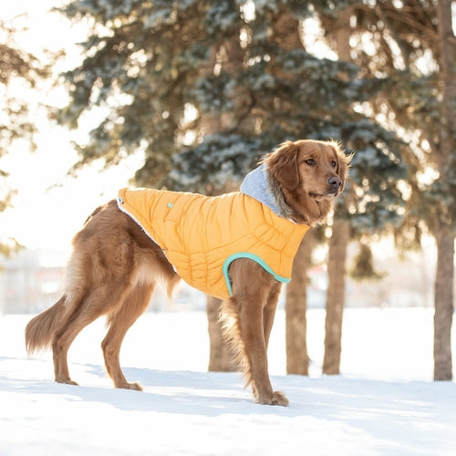 Winter Sailor Parka — Warm, Stylish & Built for Cold Days