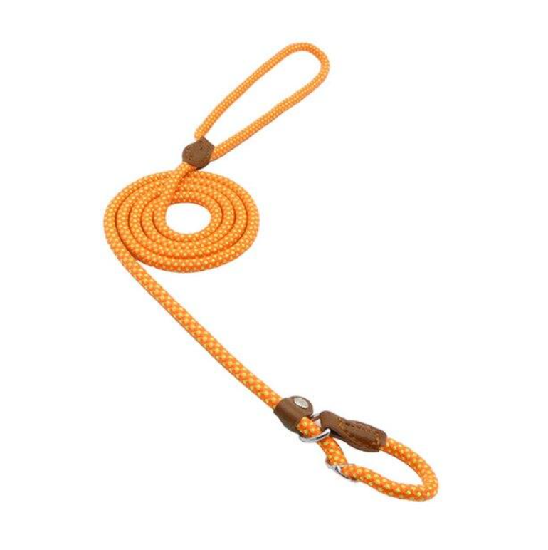 Nylon Puppy Starter Set — Collar, Leash & Harness for New Pups